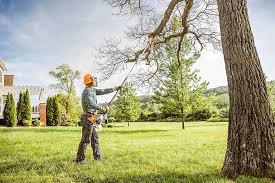 Best Arborist Consultation Services  in Waynesville, NC