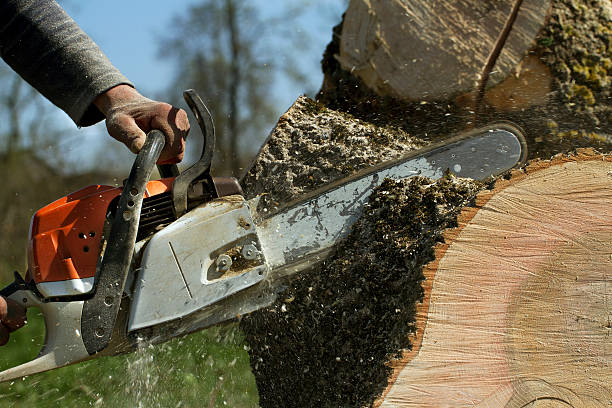 Soil Testing and Treatment in Waynesville, NC